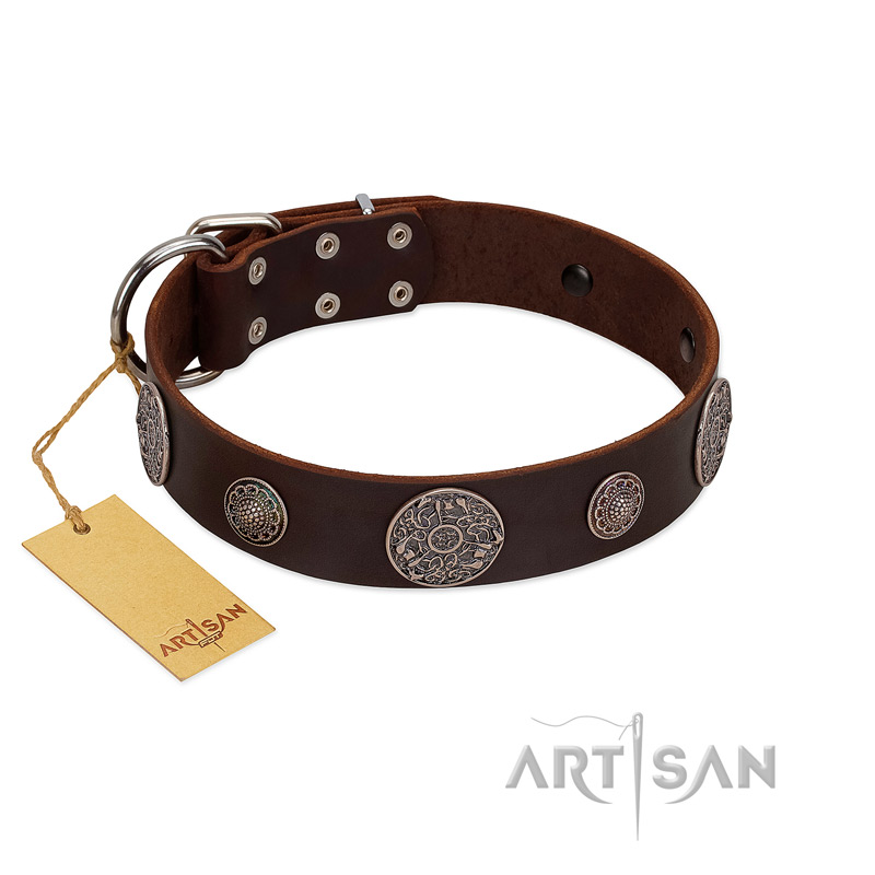 "Flashy Woof" FDT Artisan Brown Leather English Bulldog Collar with Chrome Plated Brooches
