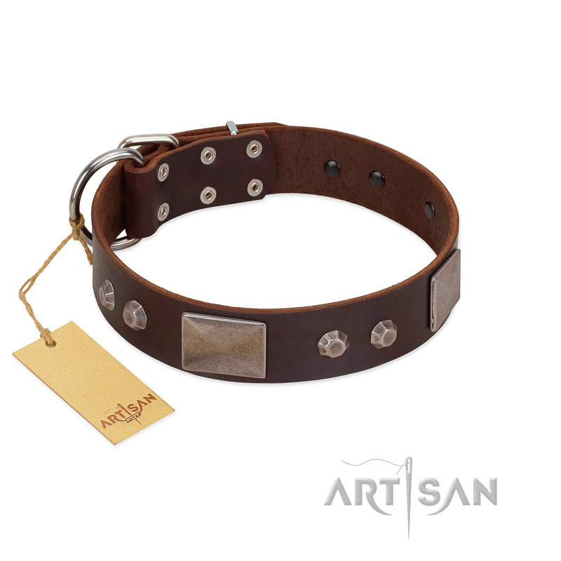 "Stone Stars" Stylish Handmade FDT Artisan Brown Leather English Bulldog Collar
