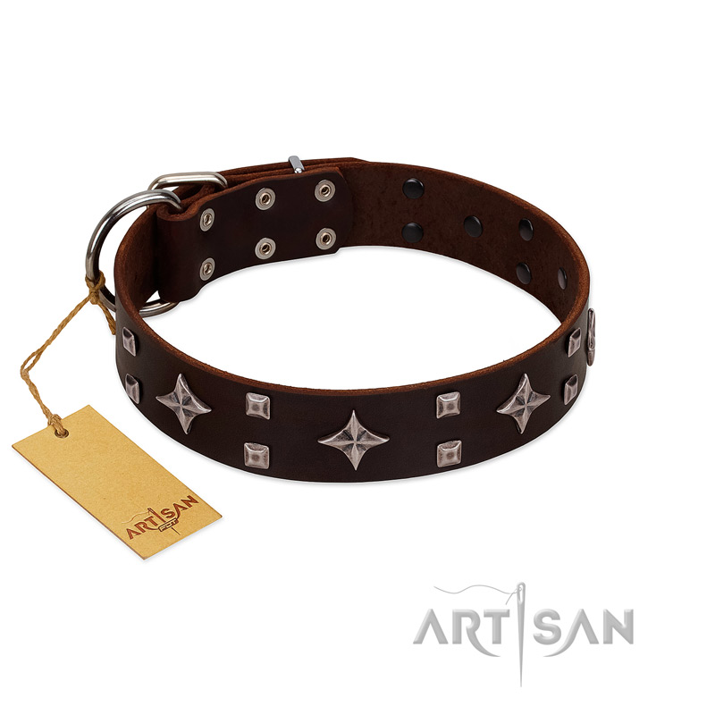 "Trendy Candy" FDT Artisan Brown Leather English Bulldog Collar Adorned with Stars and Tiny Squares - Click Image to Close