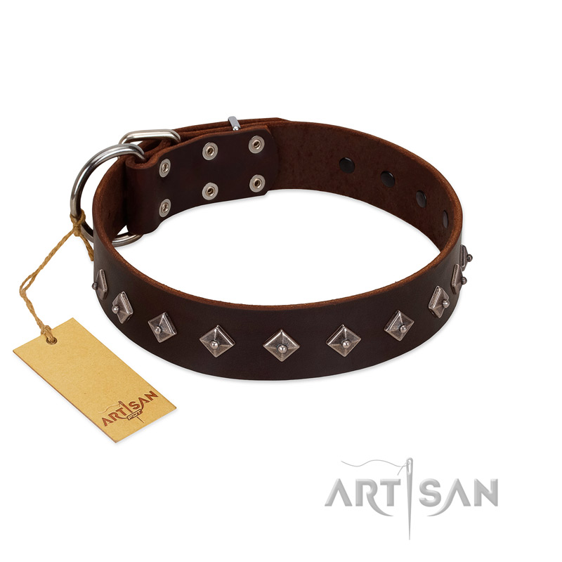 "Boundless Energy" Premium Quality FDT Artisan Brown Designer Leather English Bulldog Collar with Small Pyramids - Click Image to Close