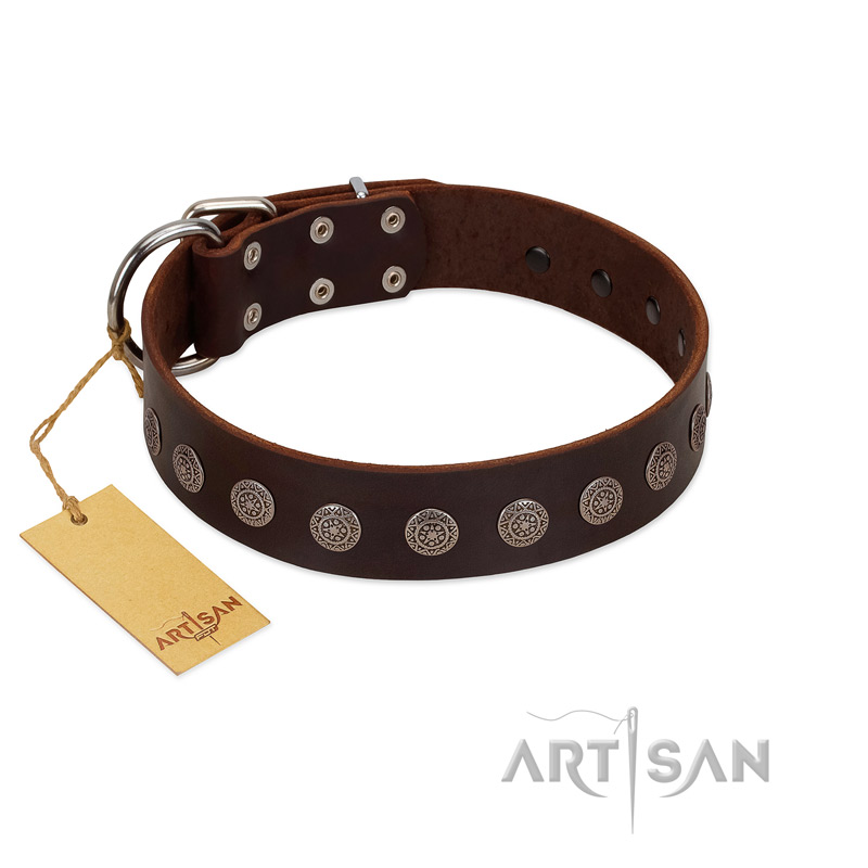 "Starry-Eyed" Best Quality FDT Artisan Brown Designer Leather English Bulldog Collar with Small Plates