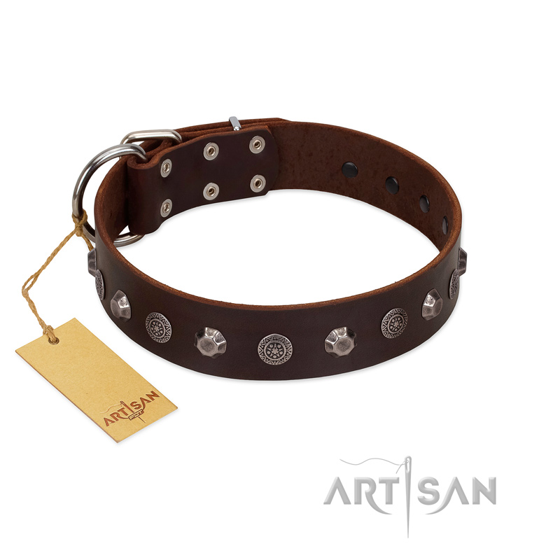 "Dark Chocolate" Handmade FDT Artisan Brown Leather English Bulldog Collar with Studs