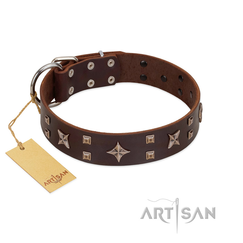 "Stars in Sands" Modern FDT Artisan Brown Leather English Bulldog Collar with Studs and Stars