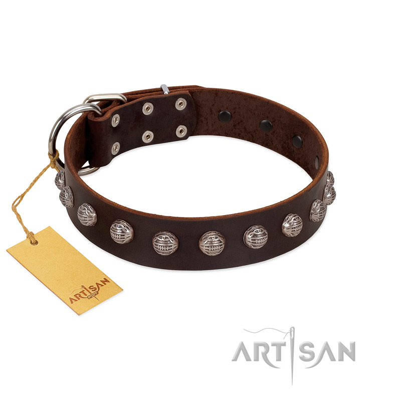 "Lucky Silver" Designer Handmade FDT Artisan Brown Leather English Bulldog Collar