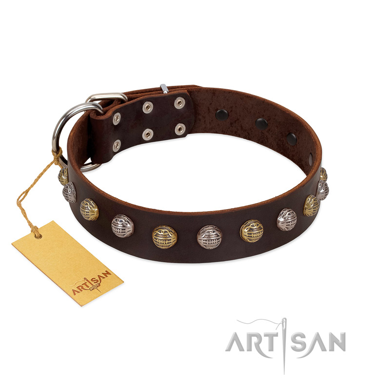 "Gape Buster" FDT Artisan Brown Leather English Bulldog Collar with One Row of Studs