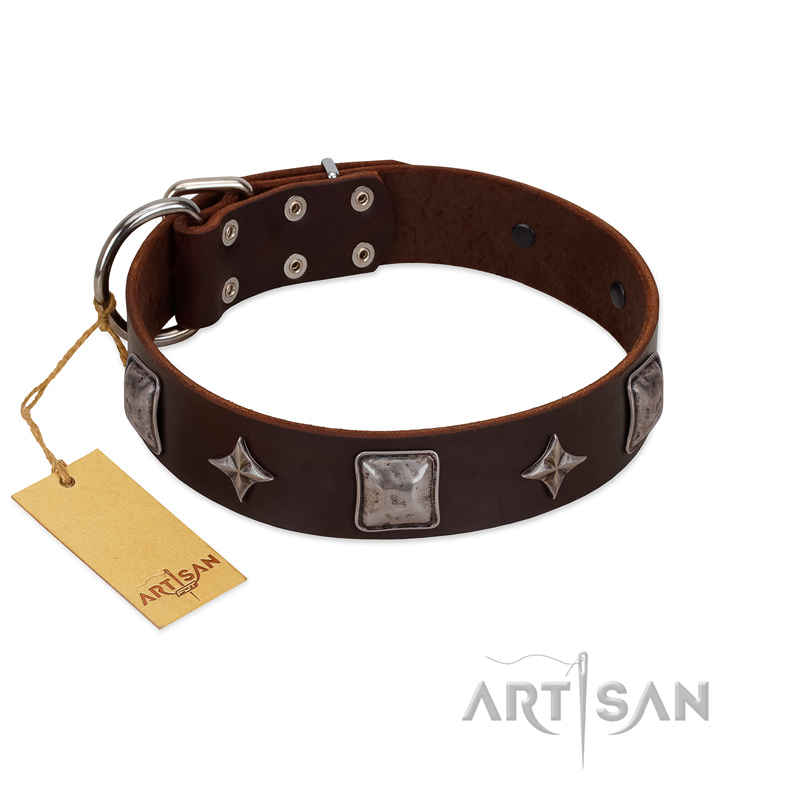 "Cold Star" Designer FDT Artisan Brown Leather English Bulldog Collar with Silver-Like Adornments