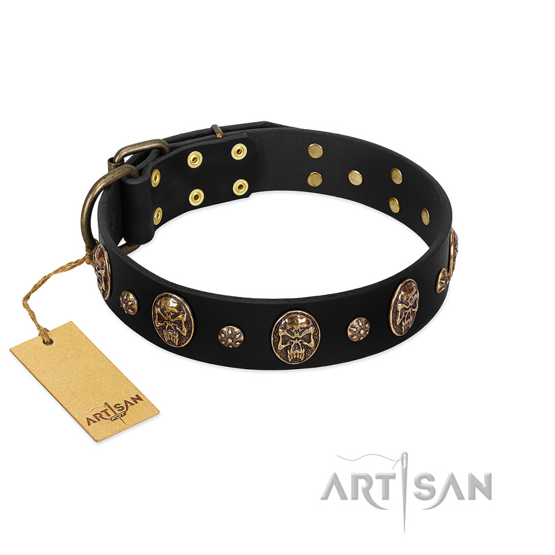 Pirate's Spell' FDT Artisan Black Leather English Bulldog Collar with Engraved Studs and Medallions