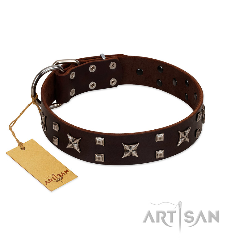 "Bigwig Woof" FDT Artisan Brown Leather English Bulldog Collar with Chrome Plated Stars and Square Studs