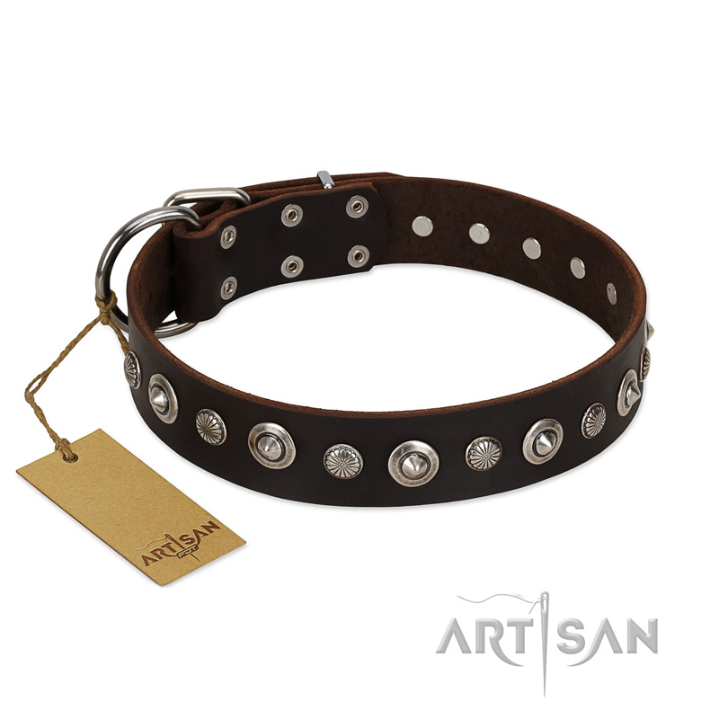 "Gorgeous Shields" FDT Artisan Brown Leather English Bulldog Collar with Old Silver-like Circles and Small Camomiles