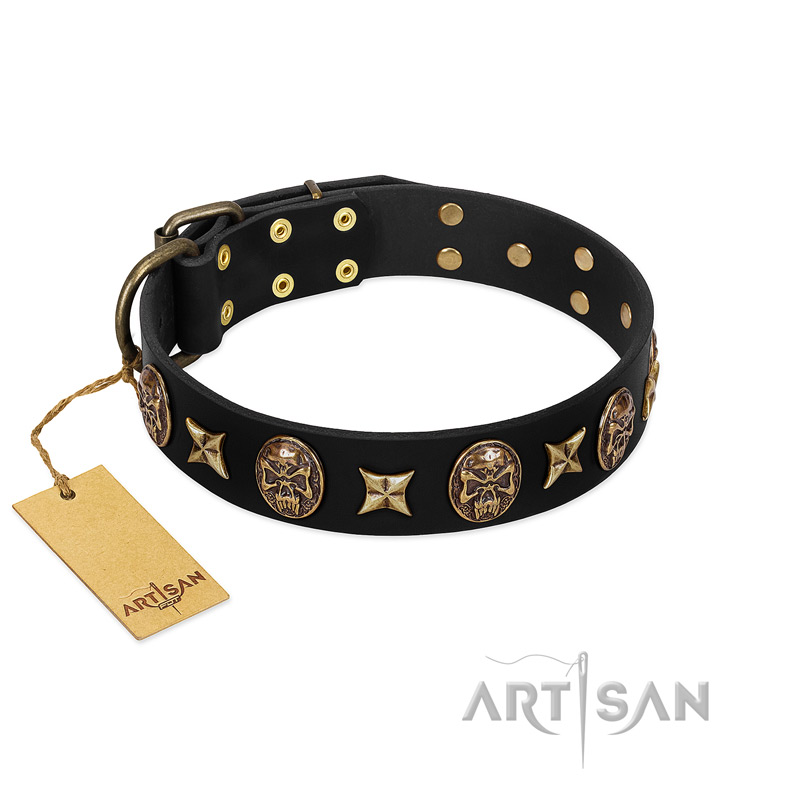 "Starry Saga" FDT Artisan Black Leather English Bulldog Collar with Stars and Skulls