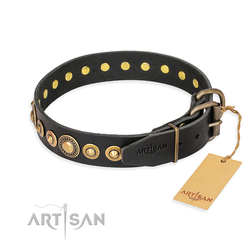 "Gold Mine" FDT Artisan Black Leather English Bulldog Collar with Amazing Bronze-Plated Round Studs