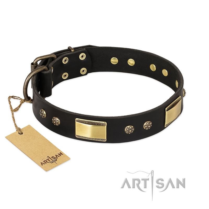 "Black Sun" FDT Artisan Leather English Bulldog Collar with Brass Plated Decorations - Click Image to Close