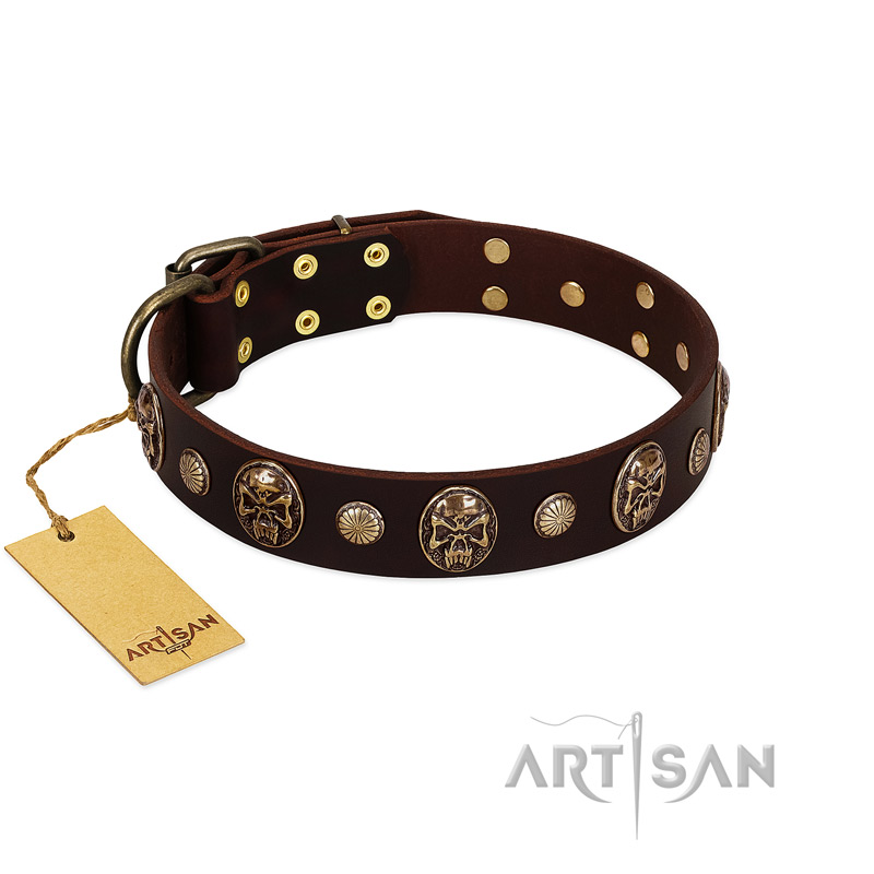 "Snazzy Paws" FDT Artisan Brown Leather English Bulldog Collar Adorned with Conchos and Medallions
