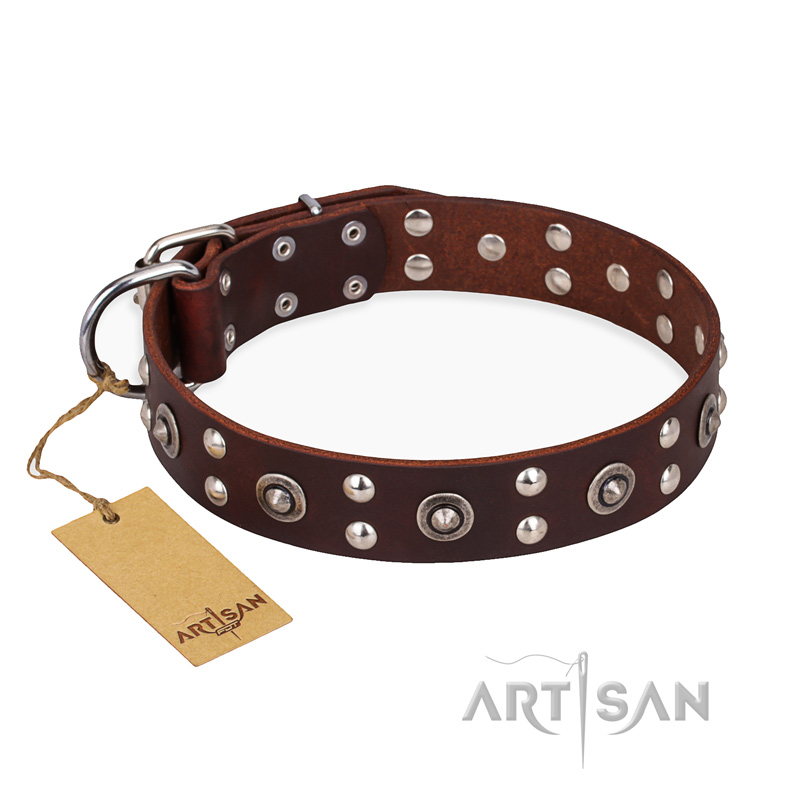 "Pirate Treasure" FDT Artisan Exciting Brown Leather English Bulldog Collar with Studs - Click Image to Close