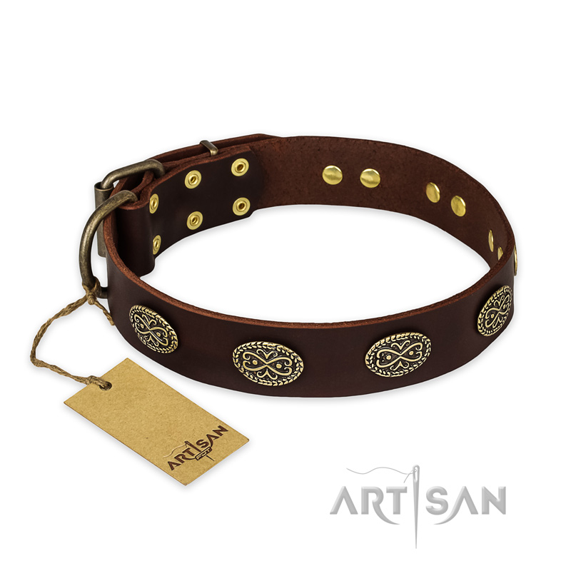 "Chocolate kiss" FDT Artisan Leather English Bulldog Collar with Old Bronze Look Oval Plates - Click Image to Close