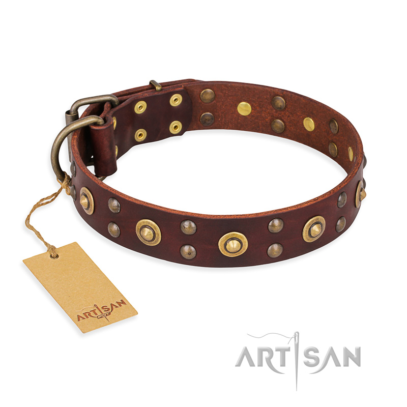 "Caprice of Fashion" FDT Artisan Brown Leather English Bulldog Collar with Round Decorations - Click Image to Close