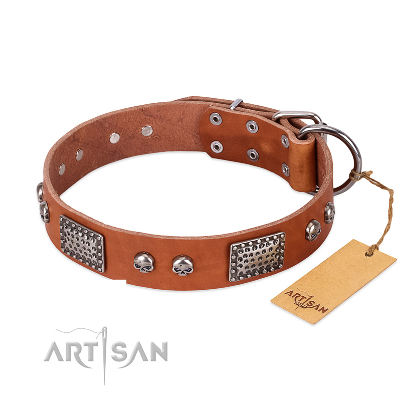 "Sparkling Skull" FDT Artisan Tan Leather English Bulldog Collar with Old Silver Look Plates and Skulls