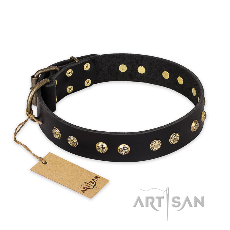 "Black Elegance" FDT Artisan Leather English Bulldog Collar with Round Studs