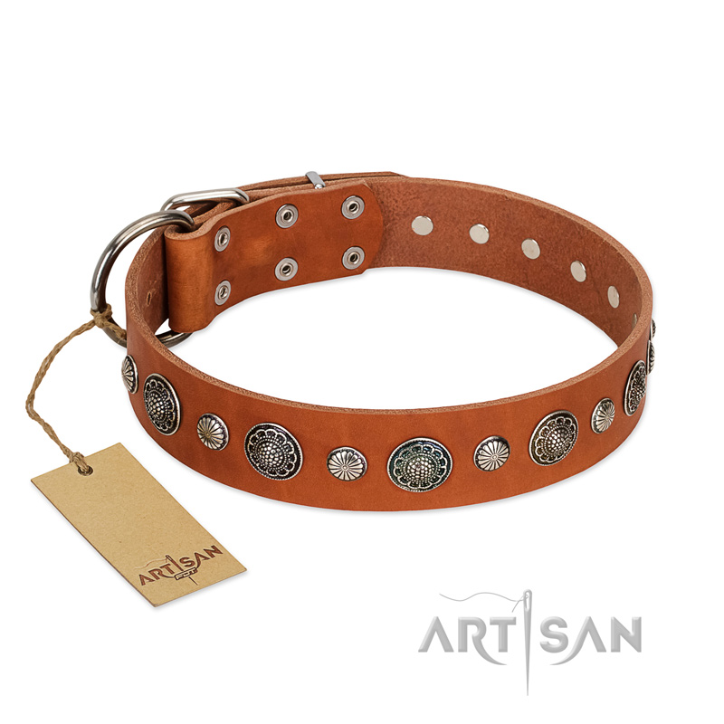 "Natural Beauty" FDT Artisan Tan Leather English Bulldog Collar with Shining Silver-like Studs - Click Image to Close