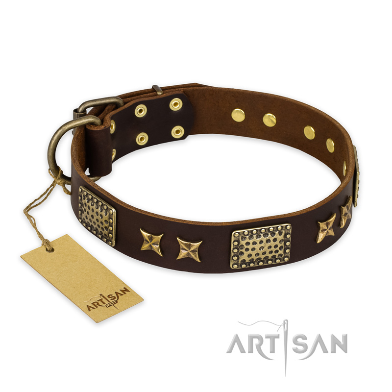 "Sparkling Bronze" FDT Artisan Genuine Leather English Bulldog Collar with Bronze Look Stars and Plates