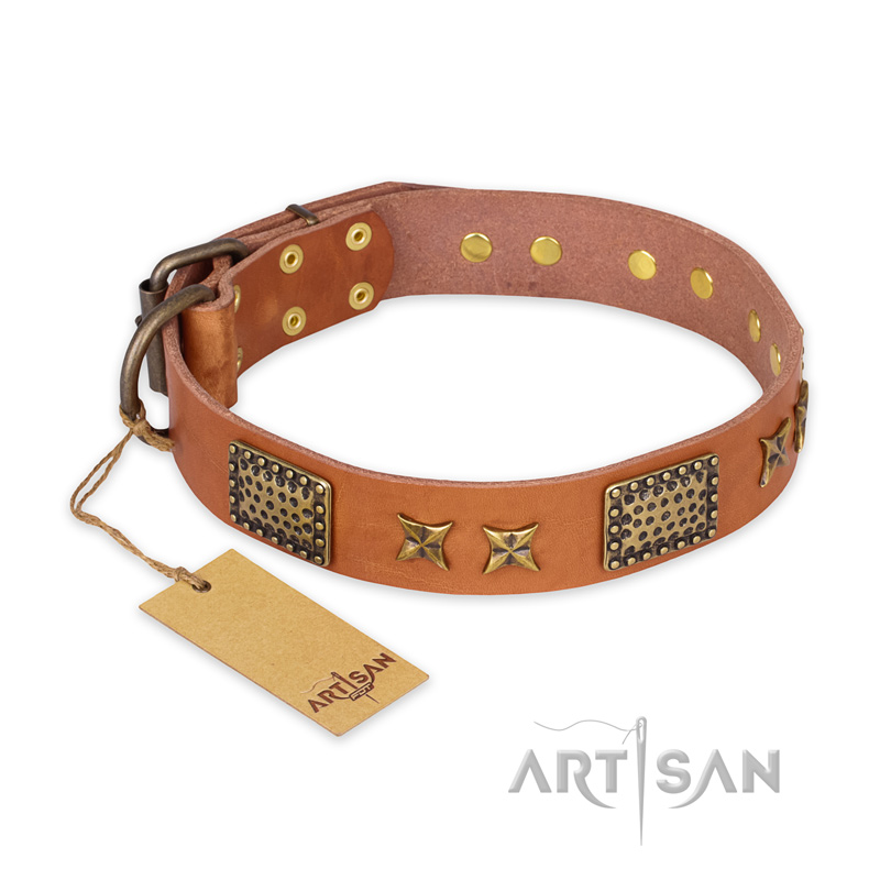 "Cosmic Traveller" FDT Artisan Adorned Leather English Bulldog Collar with Old Bronze-Plated Stars and Plates