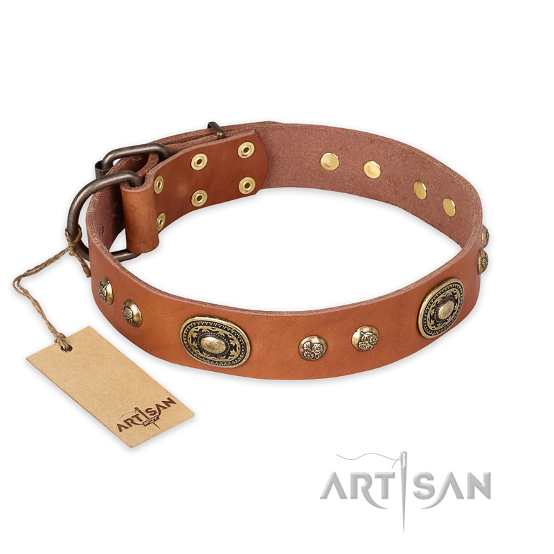 "Stunning Dress" FDT Artisan Tan Leather English Bulldog Collar with Old Bronze Look Plates and Studs