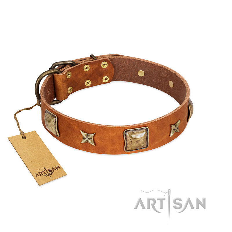 "Celtic Tunes" FDT Artisan Tan Leather English Bulldog Collar Adorned with Stars and Squares