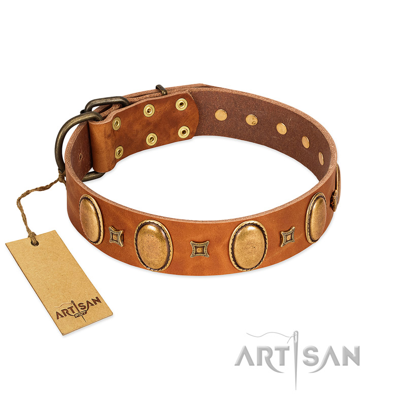 "Glossy Autumn" Designer Handmade FDT Artisan Tan Leather English Bulldog Collar with Ovals and Studs