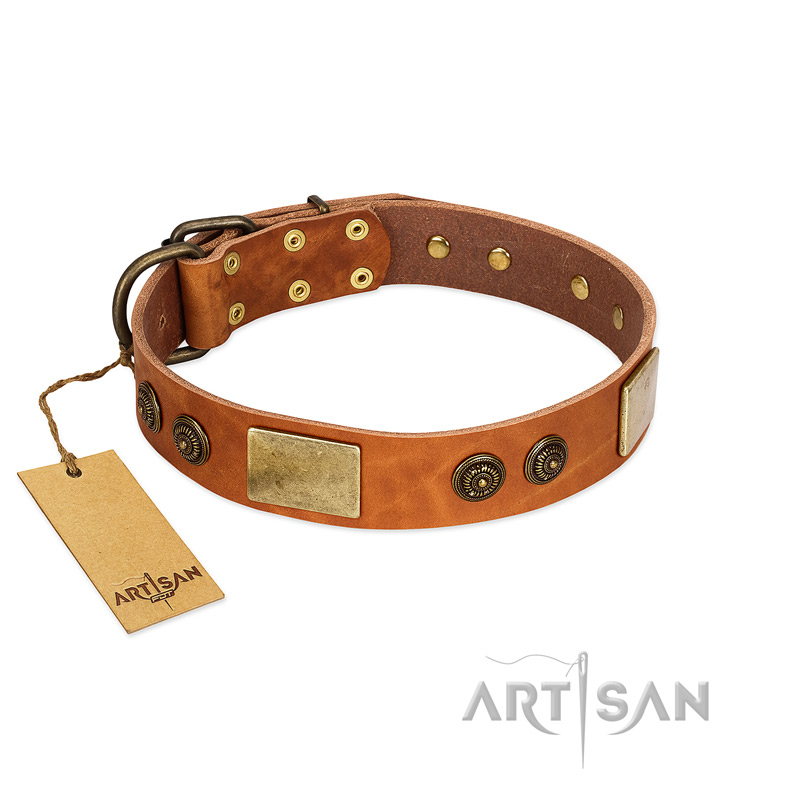 "Bronze Century" FDT Artisan Tan Leather English Bulldog Collar with Plates and Brooches with Cool Ornament