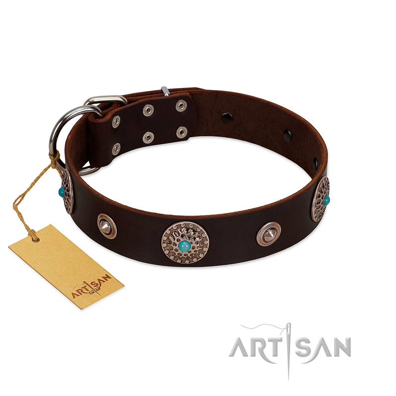 "Magic Stones" FDT Artisan Brown Leather English Bulldog Collar with Chrome Plated Brooches and Studs - Click Image to Close