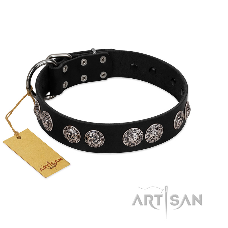 "Magic Amulete" Handcrafted FDT Artisan Black Leather English Bulldog Collar with Chrome-Plated Shields