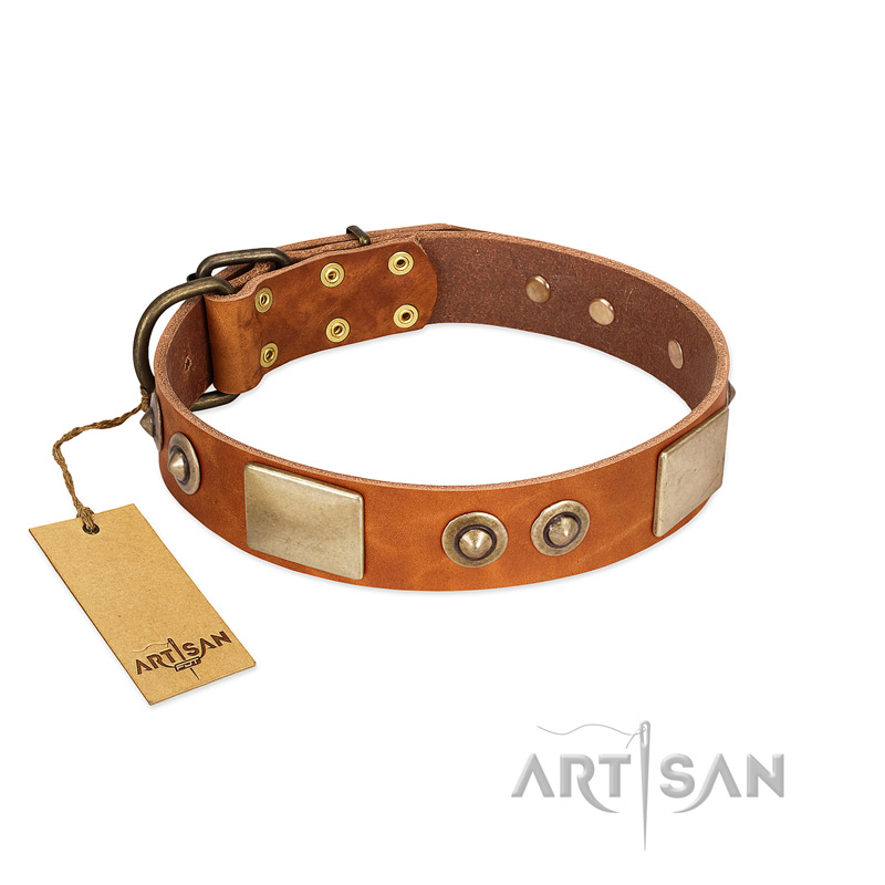 "Perfect Blend" FDT Artisan Tan Leather English Bulldog Collar 1 1/2 inch (40 mm) wide