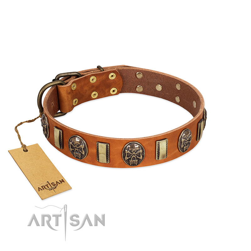 "Strike of Rock" FDT Artisan Tan Leather English Bulldog Collar with Plates and Medallions with Skulls - Click Image to Close