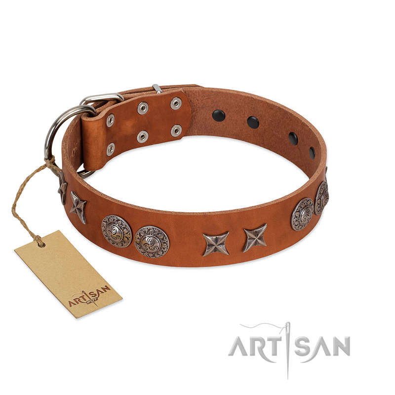 "Splendid Armor" Premium Quality FDT Artisan Tan Designer English Bulldog Collar with Shields and Stars
