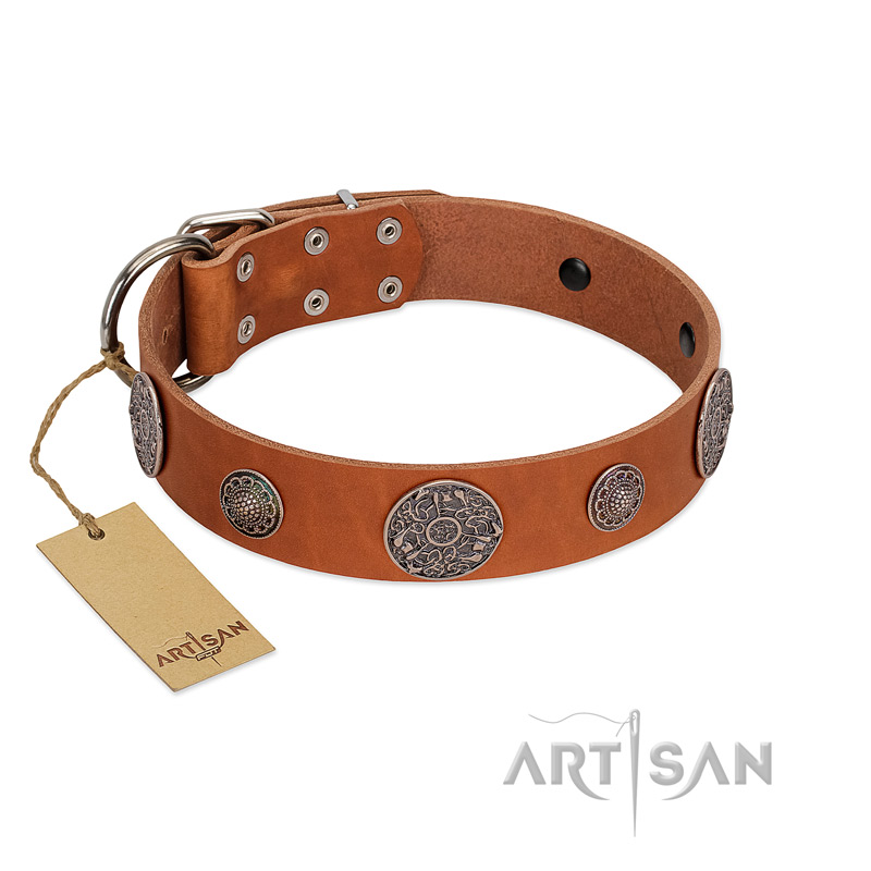 "Foxy Nature" FDT Artisan Tan Leather English Bulldog Collar with Chrome Plated Brooches