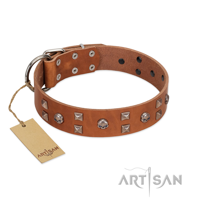 "Enchanted Skulls" FDT Artisan Tan Leather English Bulldog Collar with Chrome Plated Skulls