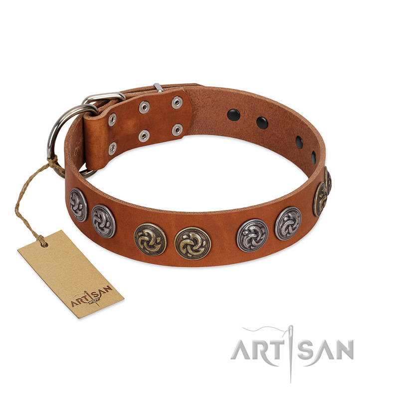 "Luxurious Life" Premium Quality FDT Artisan Tan Leather English Bulldog Collar with Round Adornments - Click Image to Close