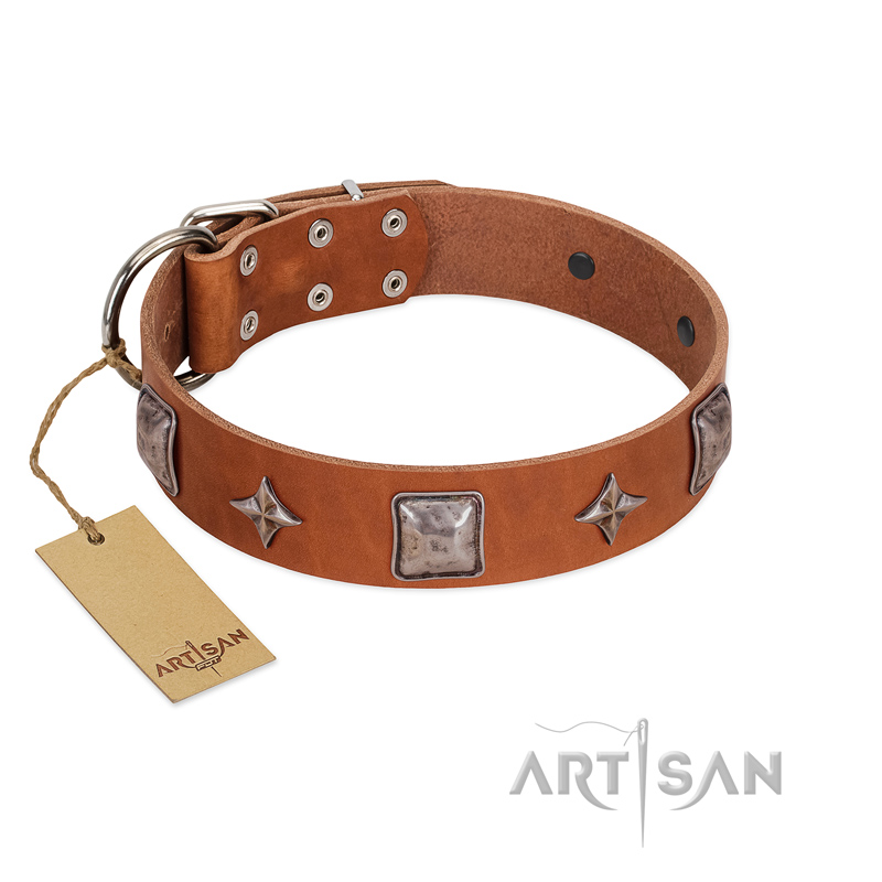 "Lucky Star" FDT Artisan Tan Leather English Bulldog Collar with Silver-Like Embellishments