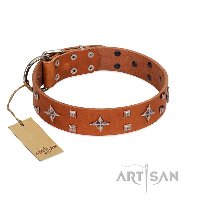 "Tawny Beauty" FDT Artisan Tan Leather English Bulldog Collar Adorned with Stars and Tiny Squares