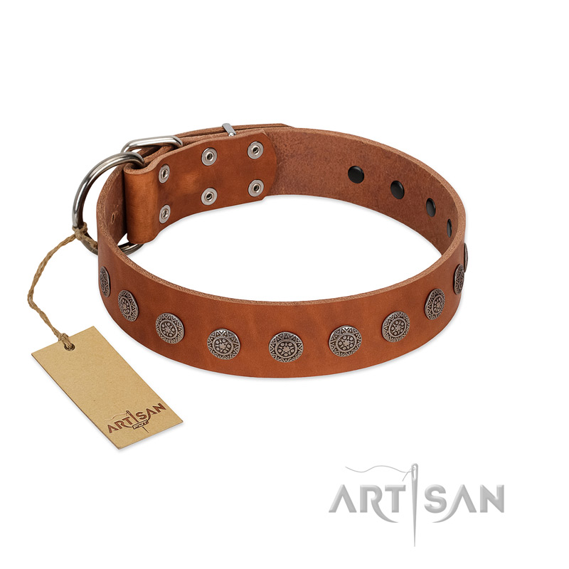 "Lucky Star" Handmade FDT Artisan Designer Tan Leather English Bulldog Collar with Round Plates - Click Image to Close