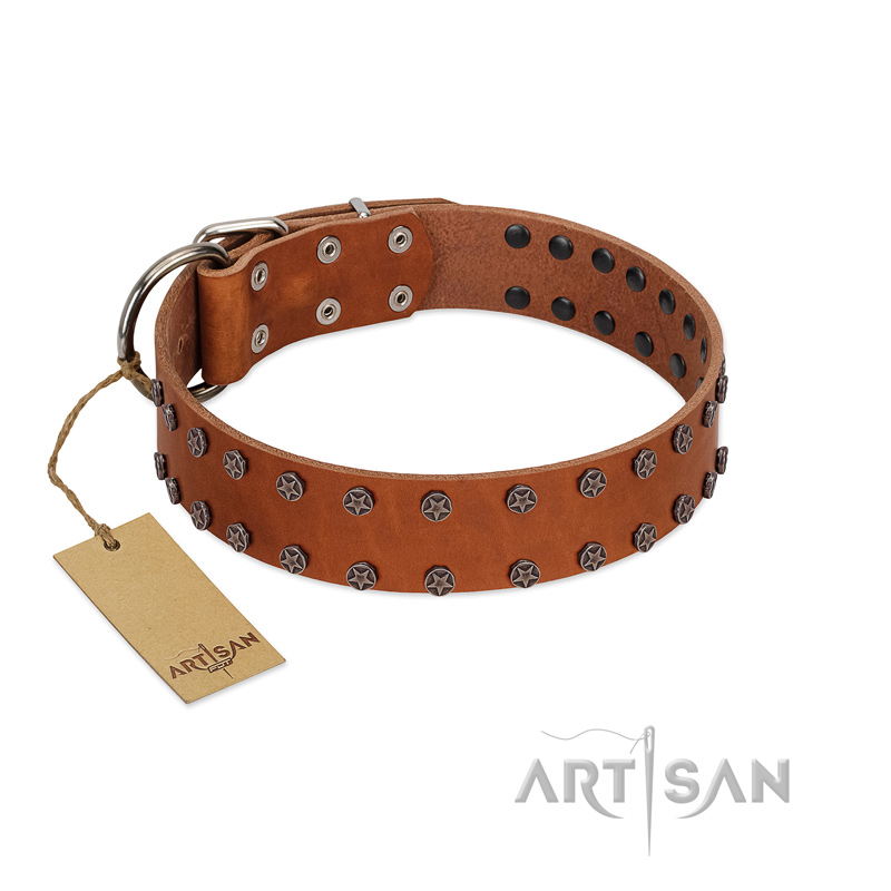"Star Light" Stylish FDT Artisan Tan Leather English Bulldog Collar with Silver-Like Studs - Click Image to Close