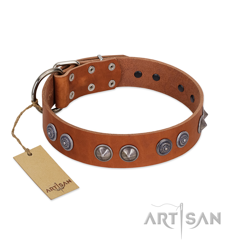 "Silver Necklace" Incredible FDT Artisan Tan Leather English Bulldog Colar with Silver-Like Adornments