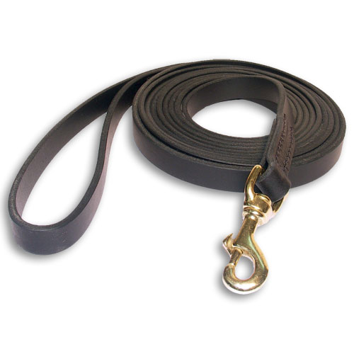 Handcrafted  Leather dog leash 6 foot