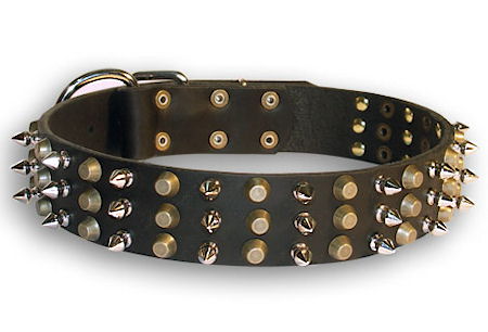 English Bulldog Leather dog collar with 3 spikes 3 old brass pyramids - Click Image to Close