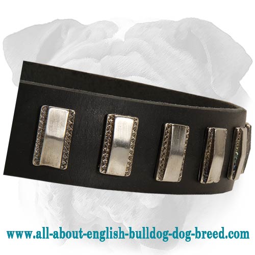 Ornament Leather Collar with Plates for English Bulldog