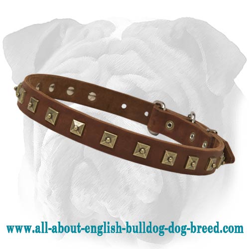 Stylish Leather Collar With Brass Studs