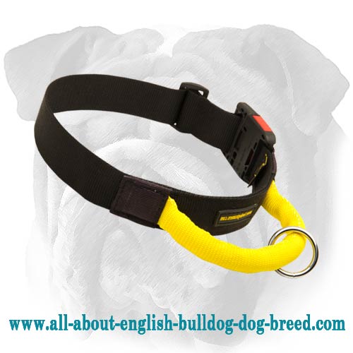 Awesome Nylon Collar With Handle And A Ring