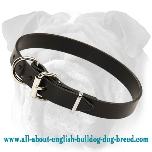 1 In Leather Collar With Classic Design