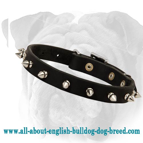 Great Leather Collar With Nickel Plated Spikes