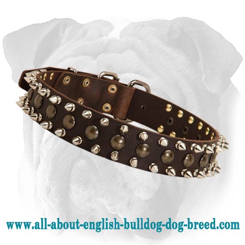 Leather Spiked and Studded Dog Collar